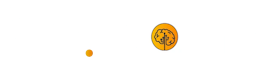 relearn school logo